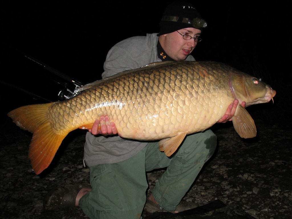 Pêcheur présentant une carpe. Photo externe, pas une capture de l'éditeur.